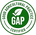 Certifacate Asociate GAP Lic